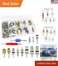 Complete A/C Valve Cores Repair Kit - 102Pcs R12 R134a with Dual-Function Tools