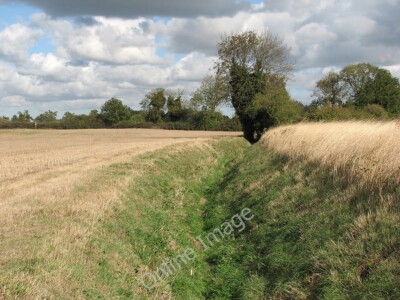 Photo 6x4 Path, ditch and wind-bent grass Fulbourn A blustery October mor c2011