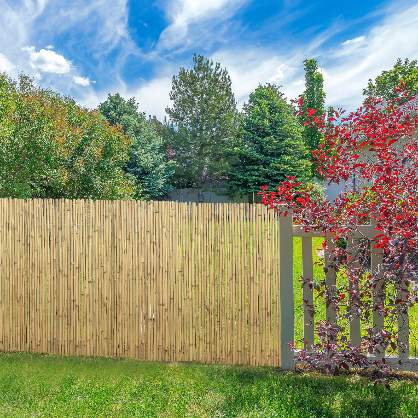 Bambus Sichtschutz Zaun Windschutz Zaunblende