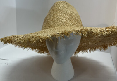 San Diego Rafia Beaded Brim Summer Hat NWT O/S San Diego Hat Charm Embellished Raffia Bucket Hat | Nordstrom main image 2