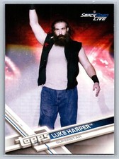 2017 Topps WWE Luke Harper #49