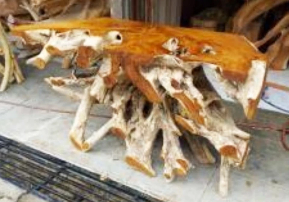 47" Artisanal Indonesian Teak Root Console Table • Wood Decor • Unique - Image 3 of 4