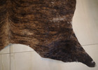 B7 Vintage Real Bear Fur Skin Hearth Rug Shaded Brown Animal — photo 9