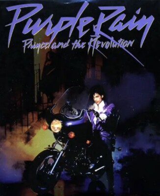 Batman Robin #6 1st Appearance Flamingo 2010 Prince Purple Rain Homage NM