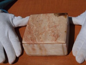 Display Box with 400 Million Years ORTHOCERAS and Ammonite Shell Fossils