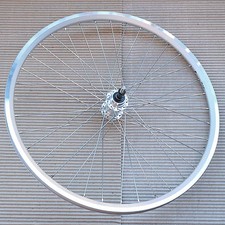 24" Hinterrad Rigida X Star 19 Felge silber Miche Schraubkranz Nabe DT Speiche