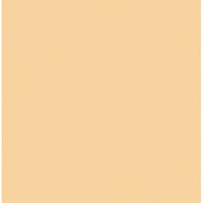 Rosco Cinegel 3442 Filter - 1/2 Straw CTS - 20x24" Sheet