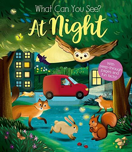 What Can You See At Night?-Kate Ware,María Perera