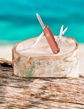 Swiss Army Red Classic Pocket Knife 7 Function Knife