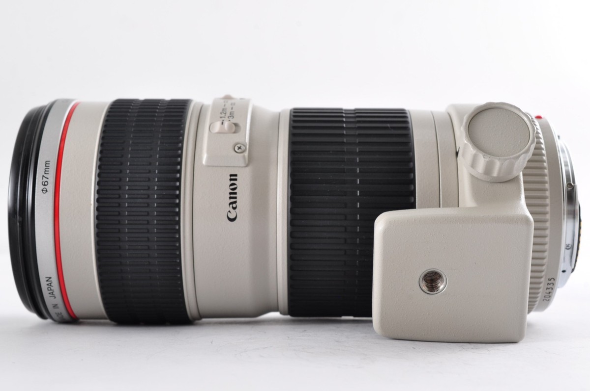 Canon EF 70-200mm f/4 L USM Zoom Lens [Exc+5] (204335) Japan