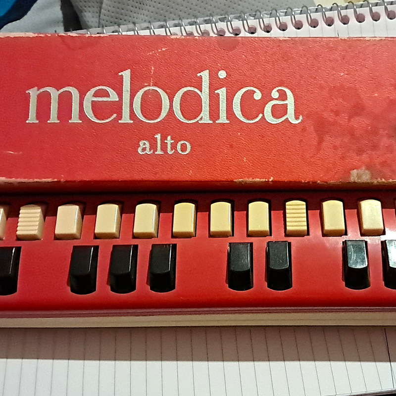 Alto Melodica 26-Key Keyboard Wind Instrument, Red Plastic Body