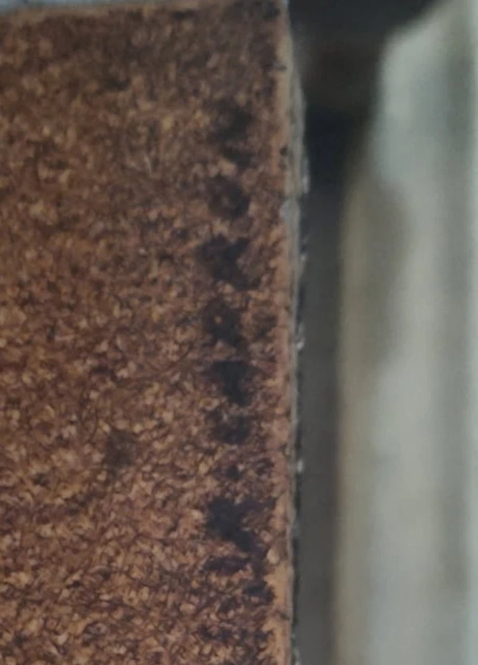 Table basse céramique signée Roger Capron Vallauris Décor Herbier 1960 1970 - Photo 2/2