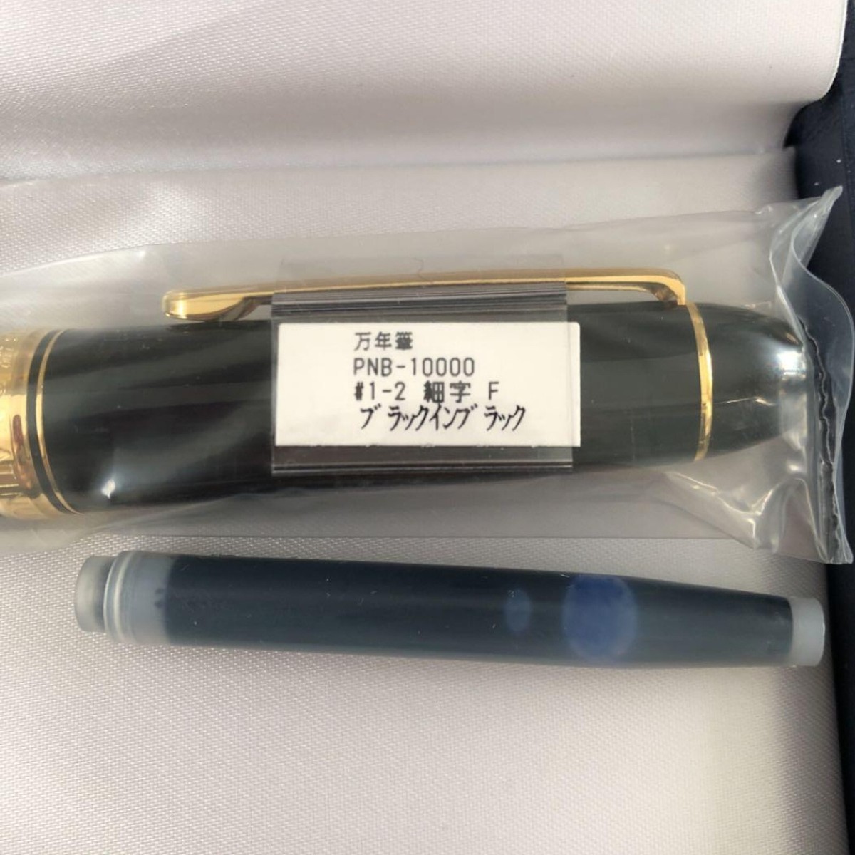 Platinum Century #3776 Fountain Pen Black in Black F Nib PNB-10000