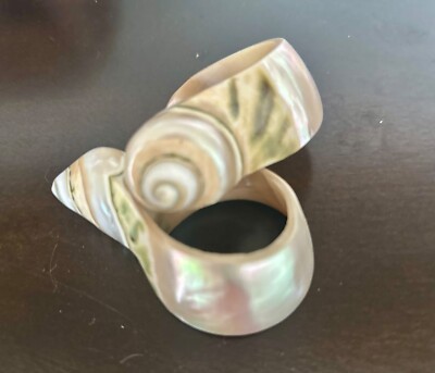 Spiral Shell Napkin Rings, lovely good condition beach house vibes | eBay