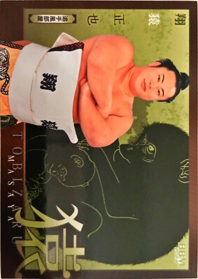 60 - Tobizaru BBM Grand Sumo Trading Cards 2024 Series 2 Hibiki Individual