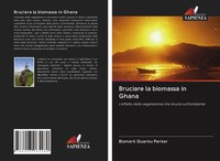 Bruciare La Biomassa In Ghana Bismark Quarku Parker Taschenbuch Italienisch 2020