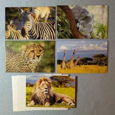 5 Wildlife Photo Blank Note Cards w/Envelopes 6.25" X 4" (J127)