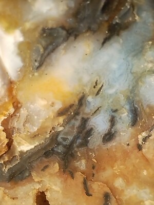 Slabbi Graveyard Point Plume Agate Rough for cabbing/slabbing, great coloring ...