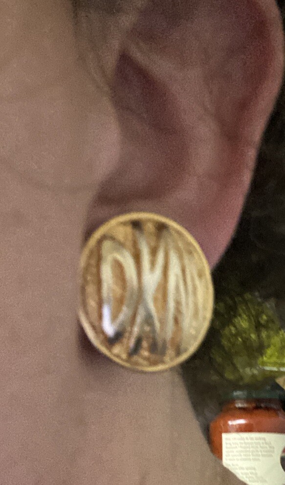 Vintage Donna Karan DKNY Clip on Medallion Earrings Matte  display picture 1
