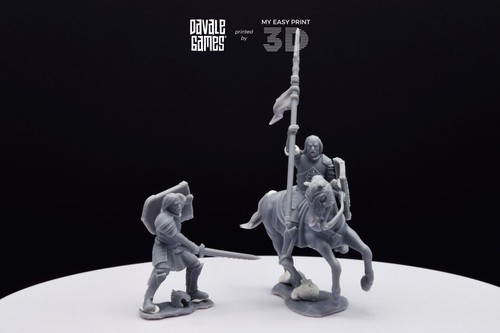 Grey Castle Captain - Foot and Mounted - Davale Games 3D Printed With HQ Resin - Picture 10 of 15