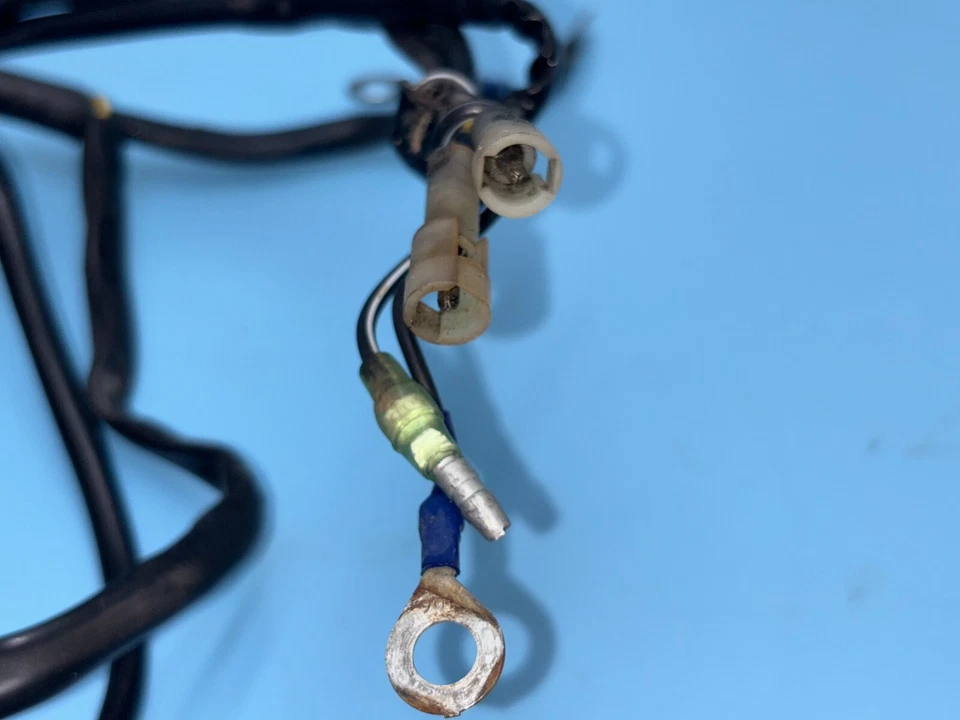 Husqvarna WR250 WR125 2006 02-08 arnés de cableado Foto 3 de 4