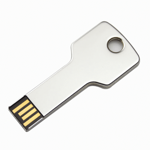 Neu 8GB USB Silber Schlüsselform Flash USB Memory Stick Stift Laufwerk 8G 180 - Bild 1 von 1