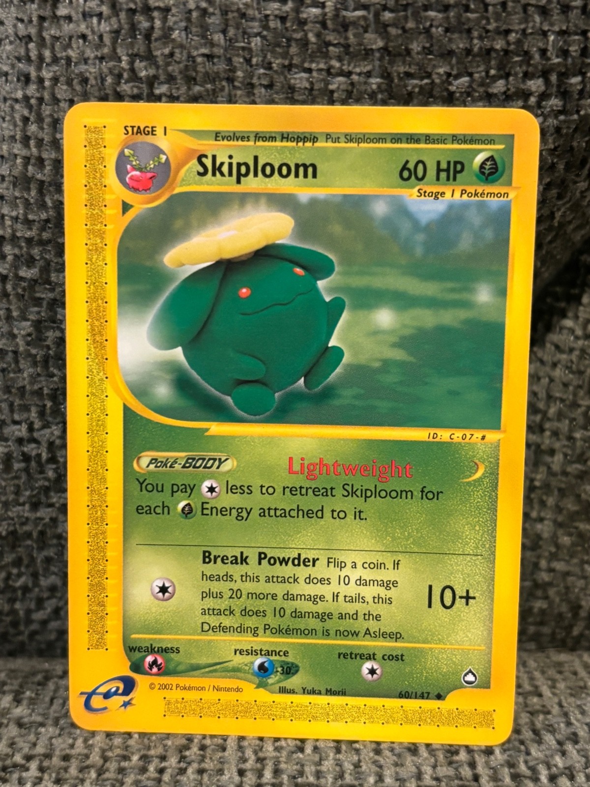Skiploom 060/147 Aquapolis Regular 60/147 NM