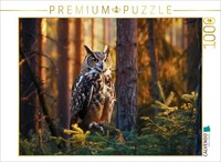 Calvendo Puzzle Rest Break | 1000 Pieces, Finished Size 25.2 × 18.9 In (64 × 48
