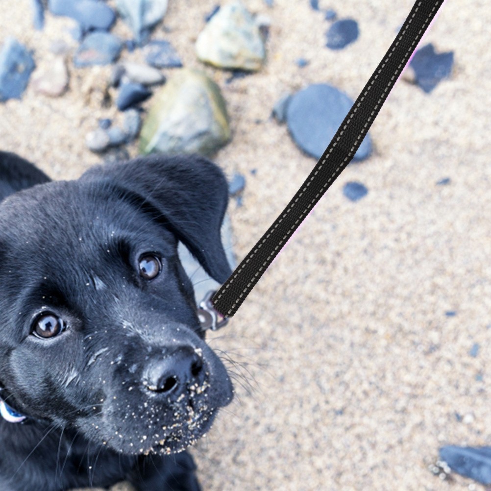 Guinzaglio per Cani - Accessorio per Addestramento foto 6