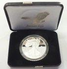 2025 American Eagle 1 oz Proof Silver Dollar Laser Engraved US Mint - Q974