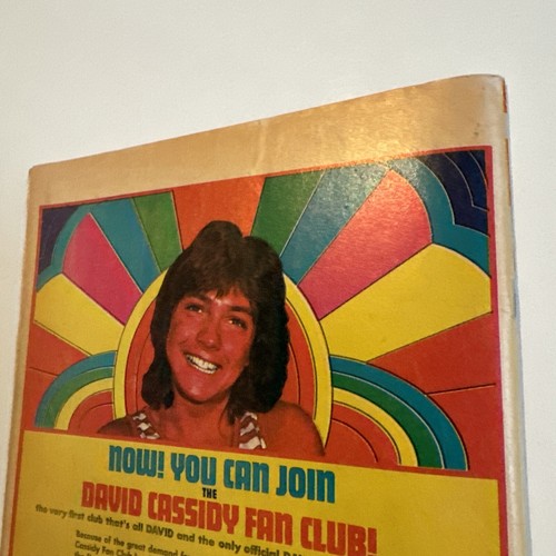 DAVID CASSIDY # 8 | FN- | Partridge Family | Charlton 1972 | WE COMBINE SHIPPING - Picture 21 of 23