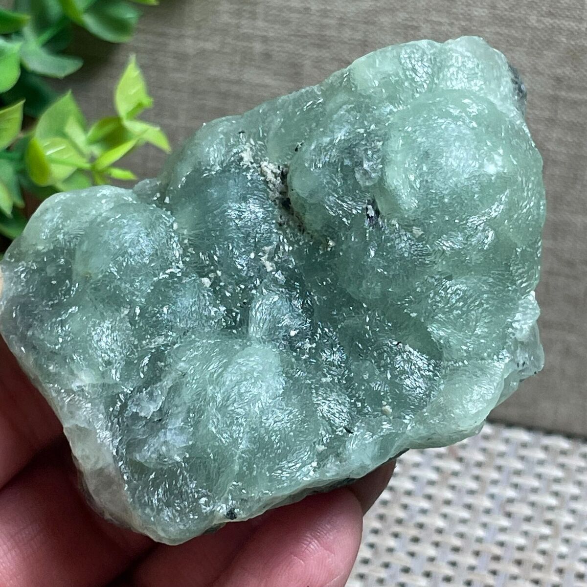 Rare Grape Agate Specimens Rare Grape Agate Specimens