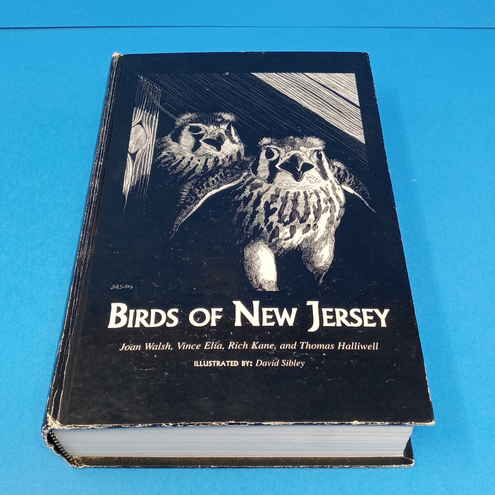 Birds of New Jersey: 1999 Nueva Jersey Audubon Society tapa dura de Joan Walsh