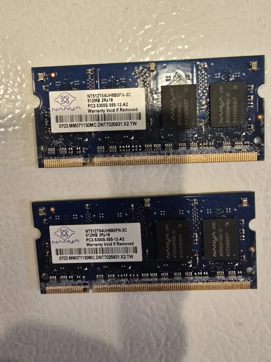 Nanya PC2-5300 DDR2-667 Computer Memory (RAM) 512 MB Capacity per