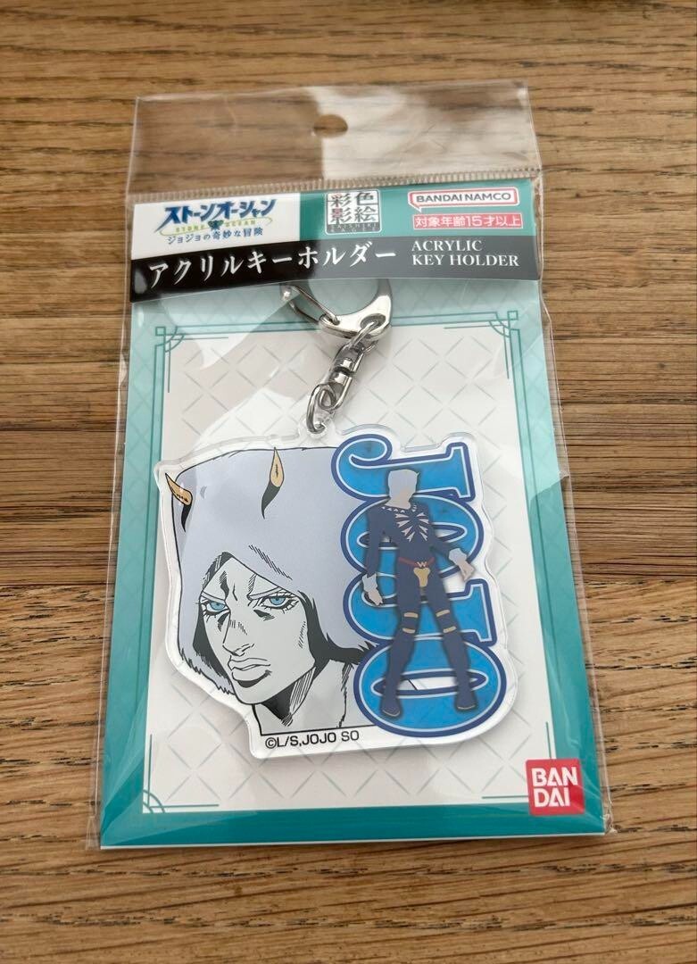【非売品】　ジョジョの奇妙な冒険　無限の王　　リサリサ　アクリルキーホルダー ジョジョの奇妙な冒険 無限の王 小説 リサリサのアクリル