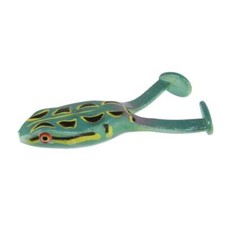 Zoom Frog