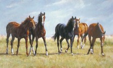 Ceramic Tile Mural Kitchen Backsplash - Brat Pack 1 - Horses - Animals