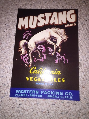 Mustang Vegetables Original Fruit Crate Labels