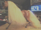 Hard Plastic Horse — photo 1