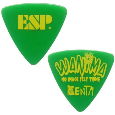 (WANIMA)ピック(KENTA) ESP PA-WK10-2 GR WANIMA KENTA PICK guitar pick From Japan | eBay