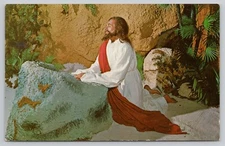 St. Petersburg Florida Sunken Gardens Praying  Garden Gethsemane Chrome Postcard