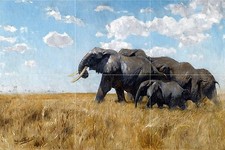 Africa elephant savanna W. Spielende Tile Mural Wall Backsplash Marble Ceramic