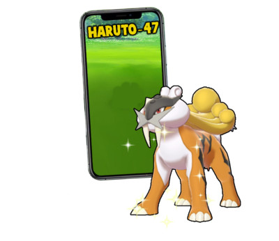 Pokemon Shiny Raikou mini P T C 60k