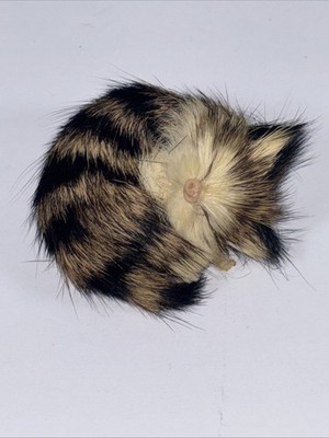 Vintage Real Fur Sleeping Kitten Cat Calico Tabby Realistic Dollhouse Miniature