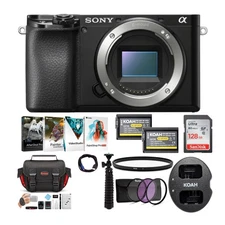 Sony Alpha a6100 APS-C Mirrorless Interchangeable Lens Camera Body Only Bundle