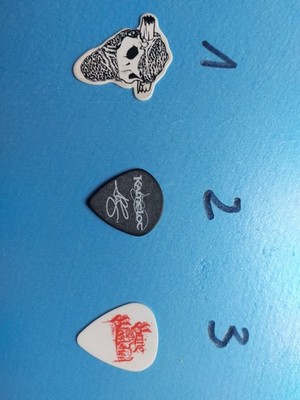 guitar pick plec - DAD - Disneyland after Dark - gefangen bei FMCruise, plec 1