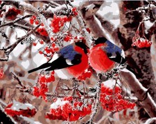 Paint By Numbers DIY Kit Lover Birds Red Love 40CMx50CM Canvas