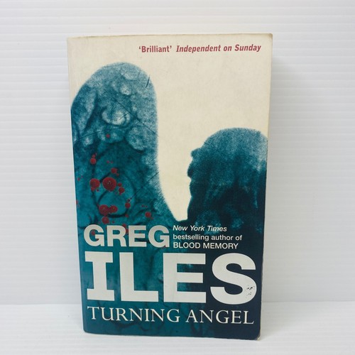 Lote de 3 libros de Greg Iles bastante juego, miedo mortal, convertir ángel pequeño libro de bolsillo - Imagen 7 de 11