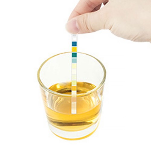 100pcs Ketone Urine Test Strip 10 Parameters Urinalysis Dip-Stick Testing Kit AT - Picture 11 of 12