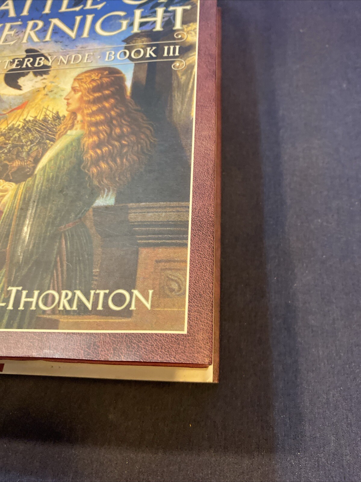 THE BATTLE of EVERNIGHT BITTERBYNDE BOOK 3 by CECILIA DART-THORNTON Hardcover 